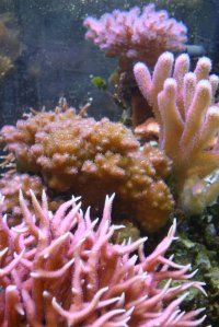 Farbtest Aquarium: 01